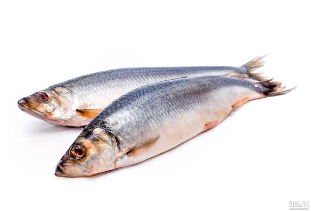 5. Рыбьи продукты для детей